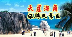 免费色情在线进入口海南三亚-天崖海角旅游风景区